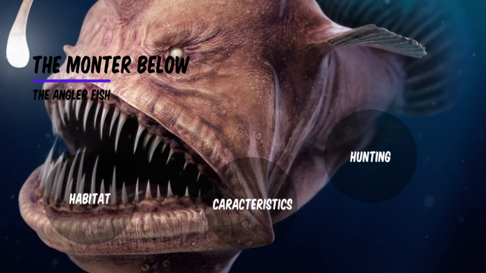 angler fish by Mariel Valadez Herrera on Prezi