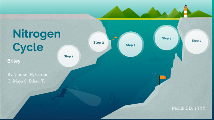 The Nitrogen Cycle by Conrad Nguyen on Prezi
