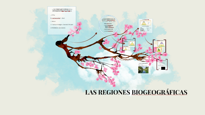 LAS REGIONES BIOGEOGRÁFICAS by Ana Álvarez Borrero on Prezi