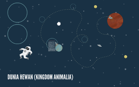 Bagaimana Ciri Ciri Umum Kingdom Animalia - Ini Cirinya