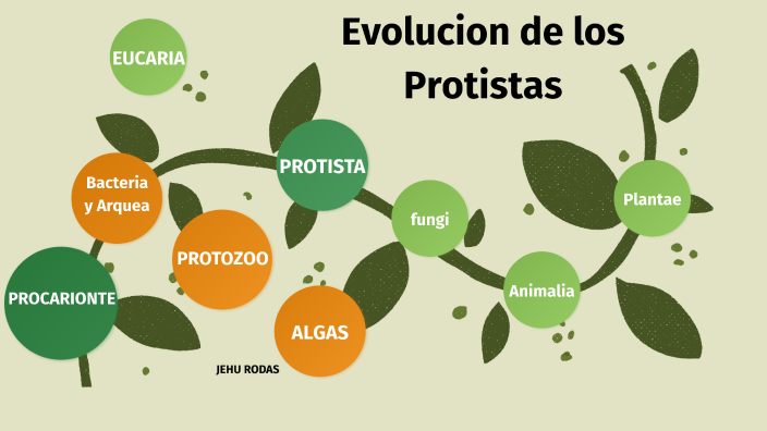 Evolución de los Protistas by Emiliano Rodas Xon on Prezi