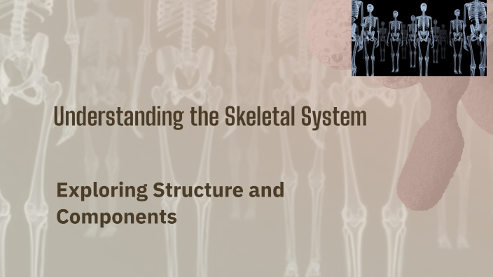 Understanding the Skeletal System by tarik shamseldeen on Prezi
