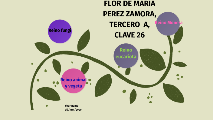 REINOS DE LA NATURALEZA by Flor de Maria Perez Zamora on Prezi