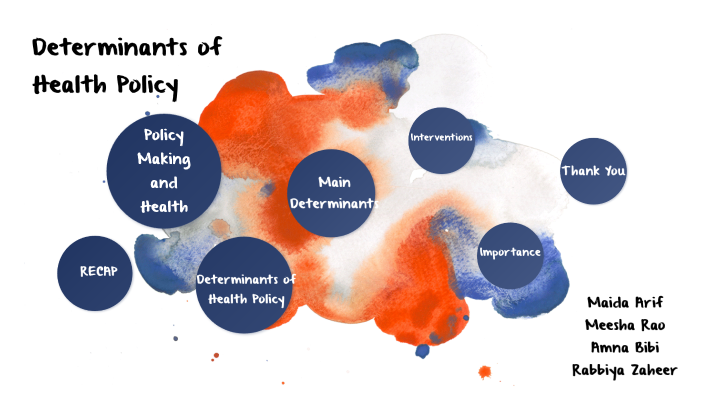 Determinants of Health Policy by Maida Arif on Prezi