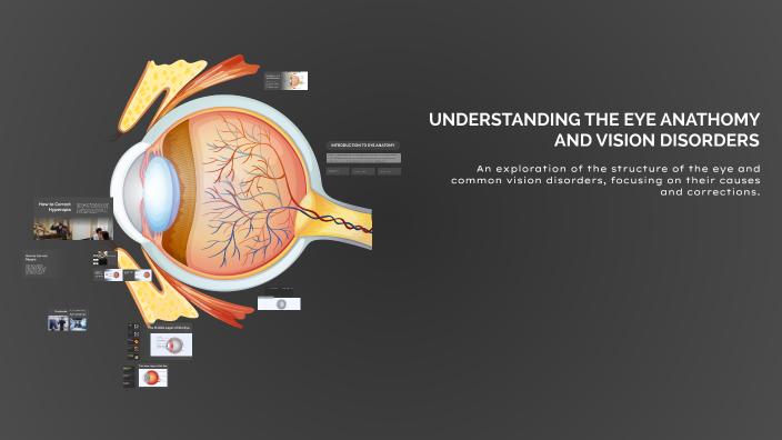 Understanding Eye Anatomy and Vision Disorders by Laura D'Andrea on Prezi
