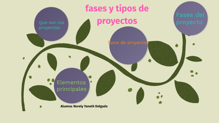 Fases Y Tipos De Proyectos By Norely Delgado On Prezi 0550