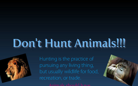 Don't Hunt Animals for fun. by Tiarnna Smith