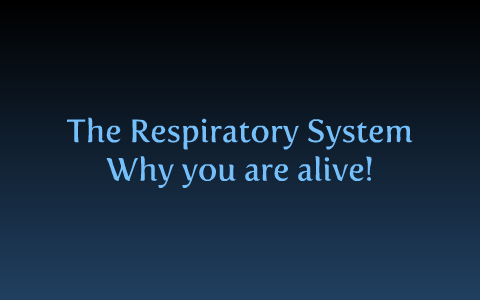 Blood & Breathing: The Respiratory System by Neelesh Rathi