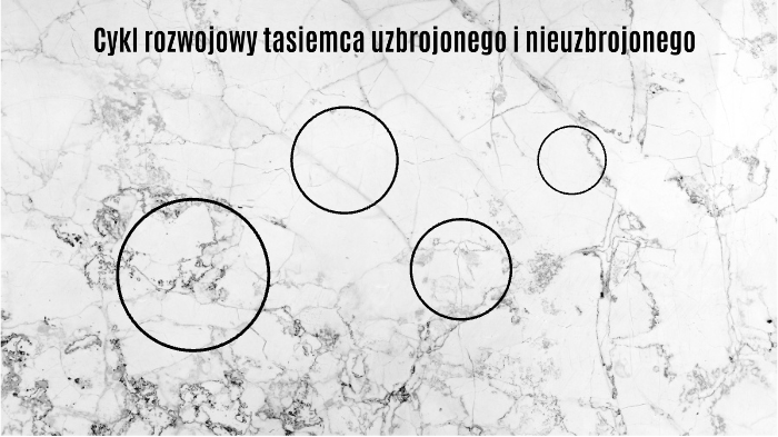 Cykl rozwojowy tasiemca uzbrojonego i nieuzbrojonego by Maria Dymel on
