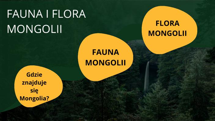 Fauna i flora Mongolii by Aleksandra Orszulak on Prezi