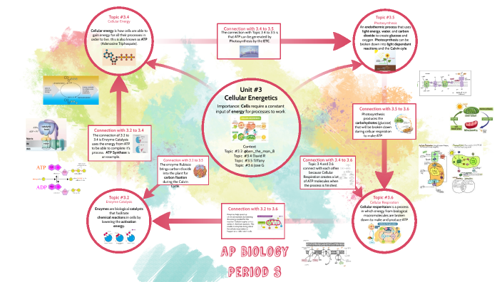 AP Biology Period 3 by Jose Gutierrez Rivas on Prezi