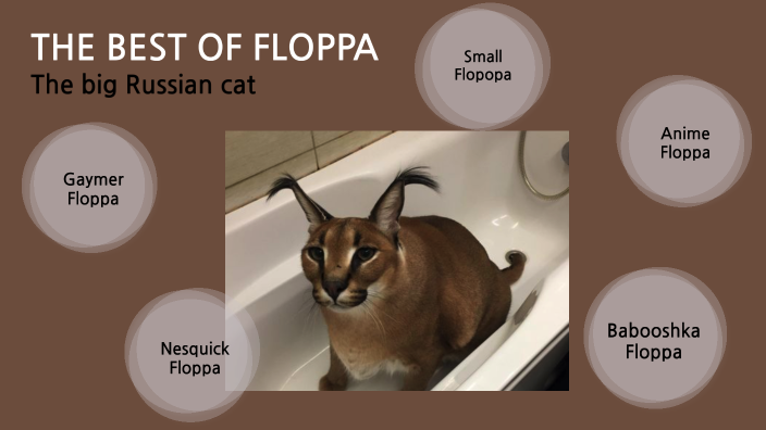 Anime Floppa, Big Floppa