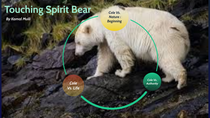 touching spirit bear cole matthews appearance