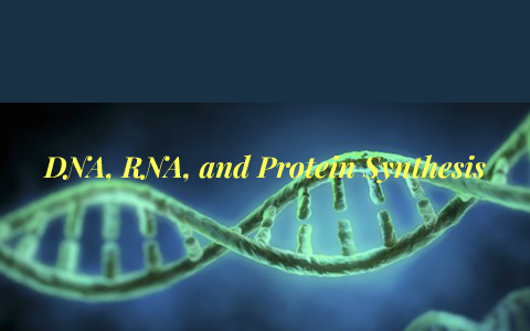 DNA by on Prezi