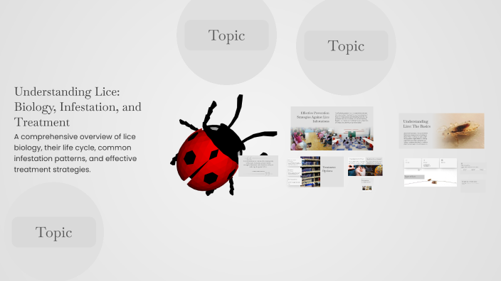 Understanding Lice: Biology, Infestation, and Treatment by Eddy Lafleur ...