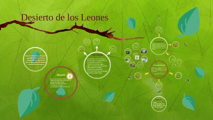 Desierto de los Leones by Paulina Díaz on Prezi Next