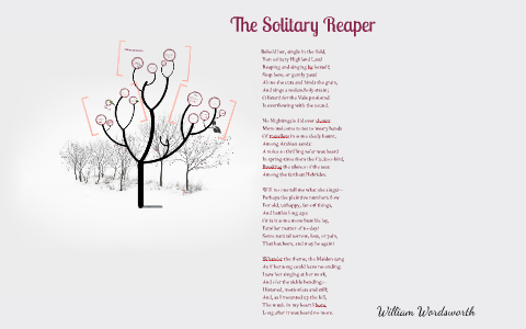 solitary reaper summary pdf
