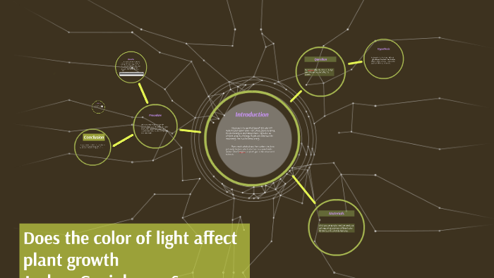 how-does-light-affect-plant-growth-epic-gardening