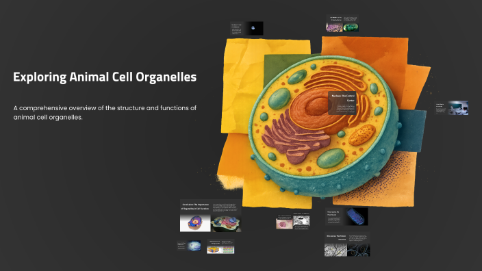 Exploring Animal Cell Organelles by m.d. . on Prezi