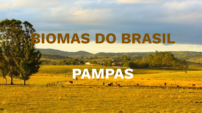 Bioma Pampas by JOSÉ RINALDO SILVA SANTOS on Prezi