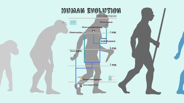 Are Humans Still Evolving? By Paula Dominguez On Prezi