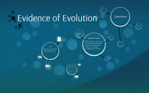 essay on evidence of evolution