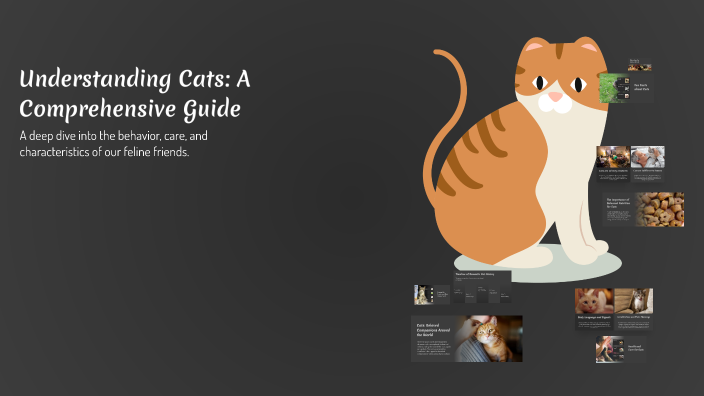 Understanding Cats: A Comprehensive Guide by kazia sigma on Prezi