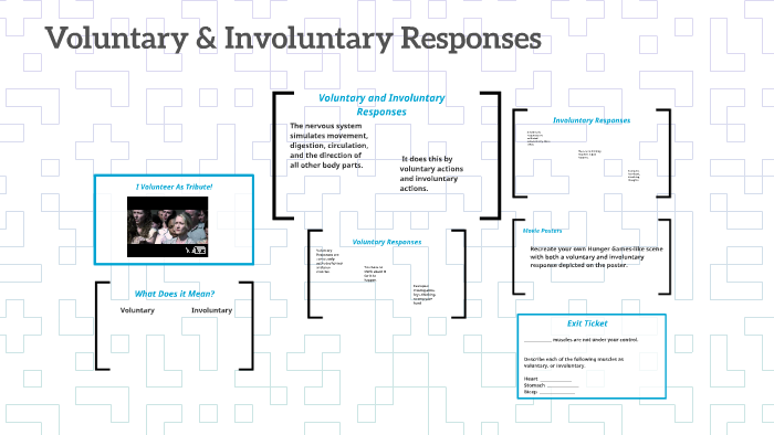 voluntary-involuntary-responses-by-sara-stalder