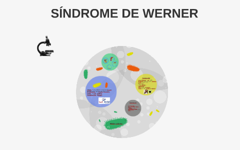 SÍNDROME DE WERNER by carla soler on Prezi