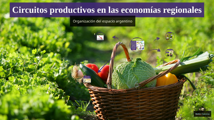 Circuitos Productivos En Las Economías Regionales By Walter Cabrera On ...