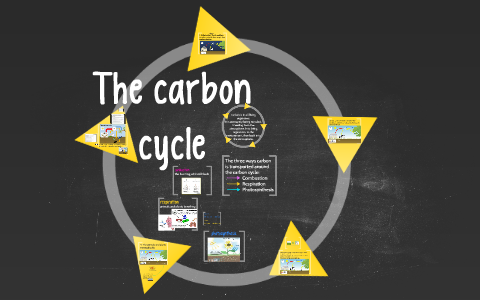The carbon cycle by Miss Williams on Prezi