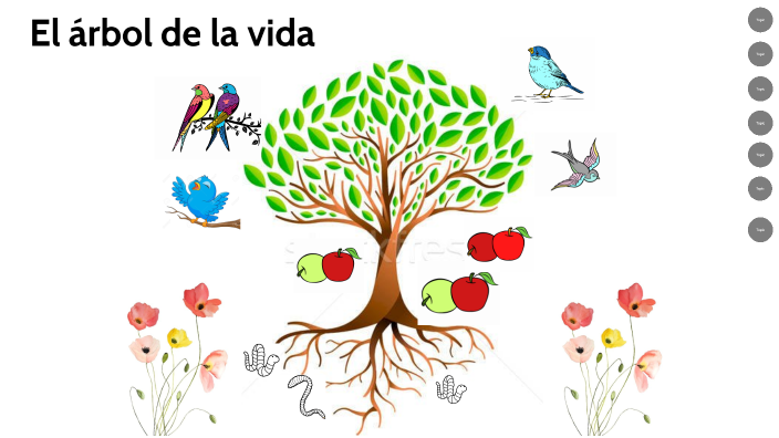 El Arbol Del Proyecto De Vida By Zharick Melissa Florez Olivero On Prezi 3505