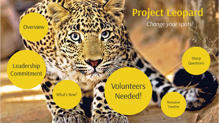 Project Leopard by Brian Stratford on Prezi