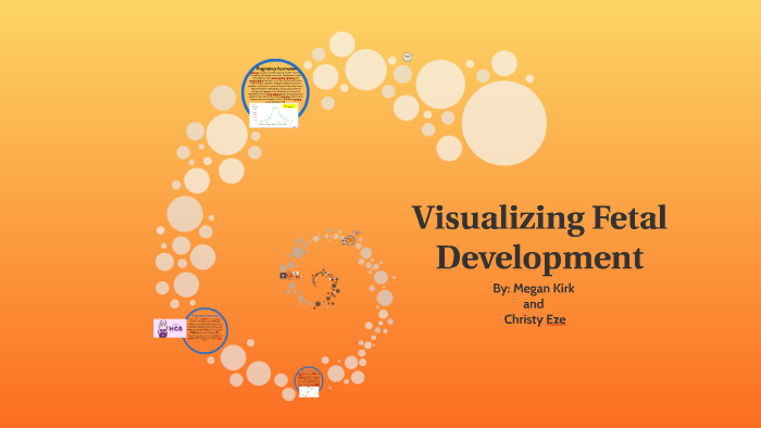 Visualizing Fetal Development by megan kirk on Prezi