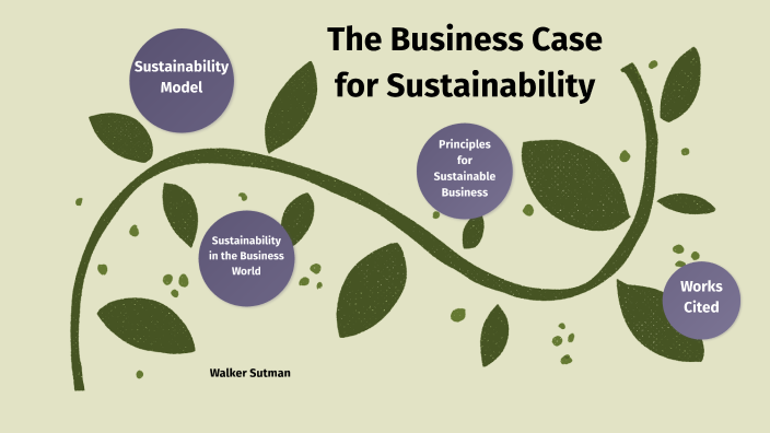 business studies case study sustainability