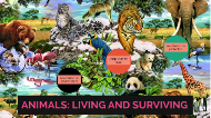 ANIMALS: LIVING AND SURVIVING by PPI School