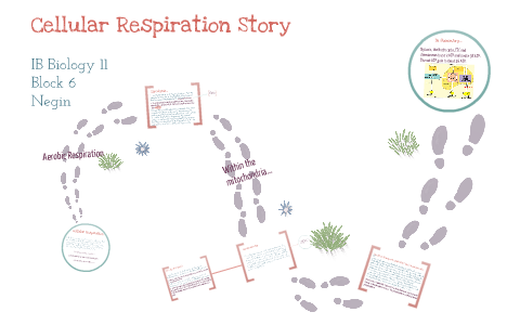 cellular respiration story
