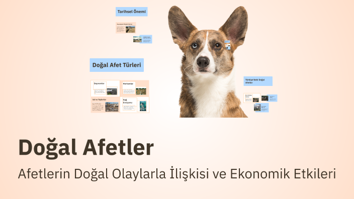 Doğal Afetler by Sinem Aygün on Prezi