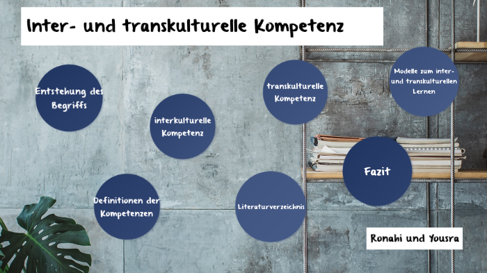 Inter- Und Transkulturelle Kompetenz - Französische Fachdidaktik By ...