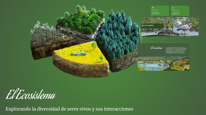 El Ecosistema by Ariana Arias on Prezi