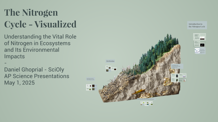The Nitrogen Cycle - Visualized by Daniel Ghoprial on Prezi