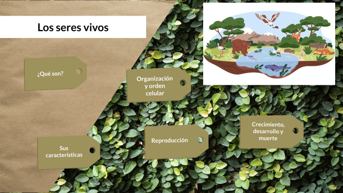 Los seres vivos by yuli sotelo on Prezi