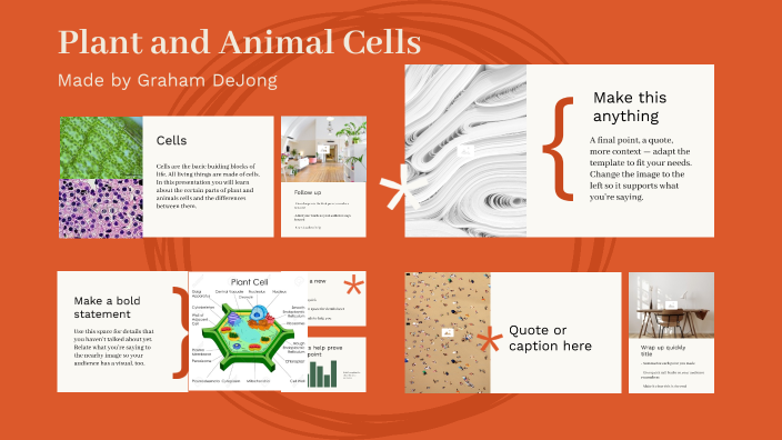 Plant and Animal Cell Comparison by Graham DeJong on Prezi