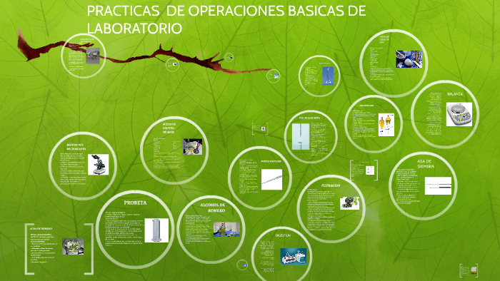 PRACTICAS OPERACIONES BASICAS DE LABORATORIO by Azucena Rodriguez on Prezi