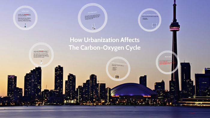 How Urbanization Affects The Carbon-Oxygen Cycle by Michelle Marin on Prezi