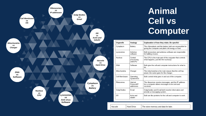 Animal Cell vs Computer by kendal gilbert on Prezi