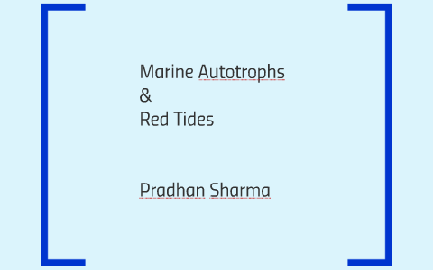 Marine Autotrophs by Pradhan Sharma on Prezi