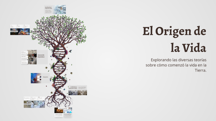 El Origen de la Vida by Ever Antonio Arzuza Camacho on Prezi