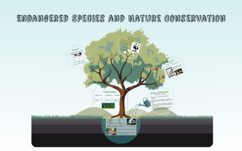 Endangered Species and Nature Conservation by Lj Seligbon on Prezi