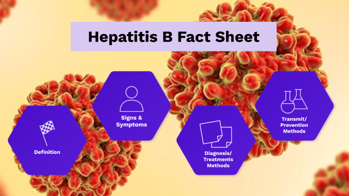 Hepatitis B Fact Sheet By Nicholas Ammon On Prezi